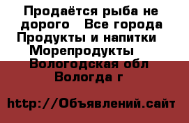 Продаётся рыба не дорого - Все города Продукты и напитки » Морепродукты   . Вологодская обл.,Вологда г.